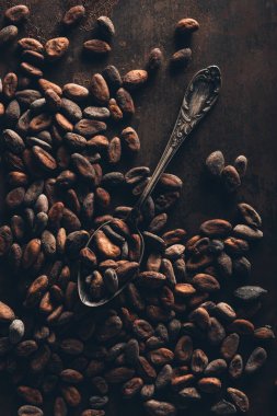 karanlık yüzeyi leziz kakao çekirdekleri ve vintage kaşık Üstten Görünüm