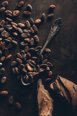 karanlık yüzeyi kakao çekirdekleri, vintage kaşık ve çikolata parçaları Üstten Görünüm