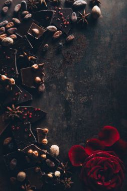 çikolata parçaları kakao çekirdekleri, fındık, yıldız anason ve gül yaprakları ile üstten görünüm karanlık yüzeyi