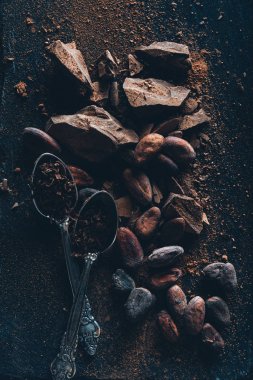 karanlık yüzeyi vintage kaşık, çikolata parçaları ve kakao çekirdekleri Üstten Görünüm