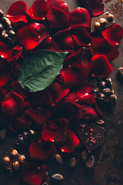 top view of beautiful red rose petals, green leaf and gourmet chocolate with hazelnuts 