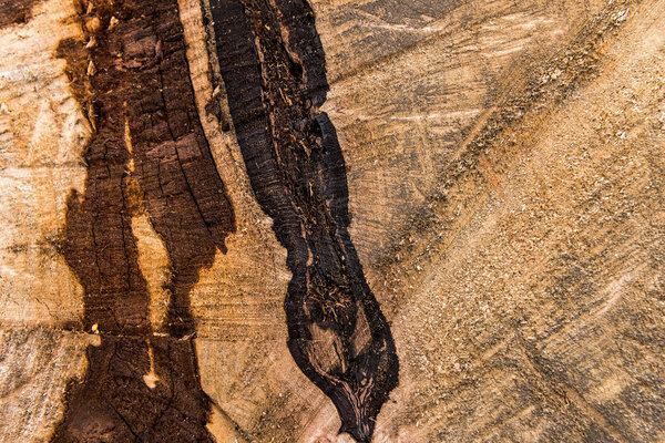 Rough background of detailed wooden surface