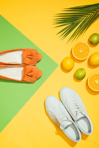 top view of palm leaf, stylish female slippers shoes and sneakers, lemons, limes and slices of orange