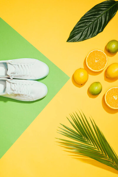 top view of stylish female sneakers, tropical leaves, lemons, limes and slices of orange