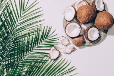 top view of gourmet organic coconuts and green palm leaves on white  clipart