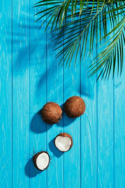 top view of whole and cracked coconuts and green palm leaves on blue wooden surface clipart