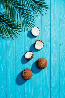 top view of whole and cracked coconuts and green palm leaves on turquoise wooden table top  clipart