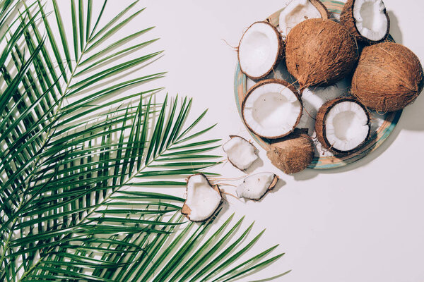 top view of gourmet organic coconuts and green palm leaves on white 