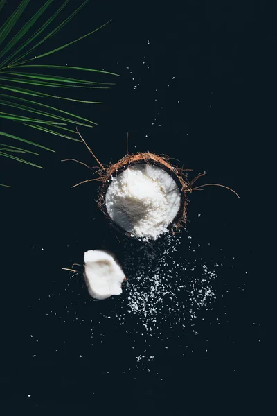 Ovanifrån Färsk Ekologisk Kokos Med Spån Och Gröna Palm Lämnar — Stockfoto