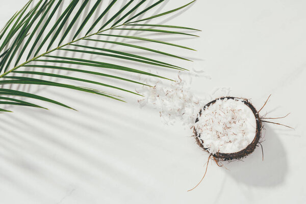 half of coconut with shavings and green palm leaves on white