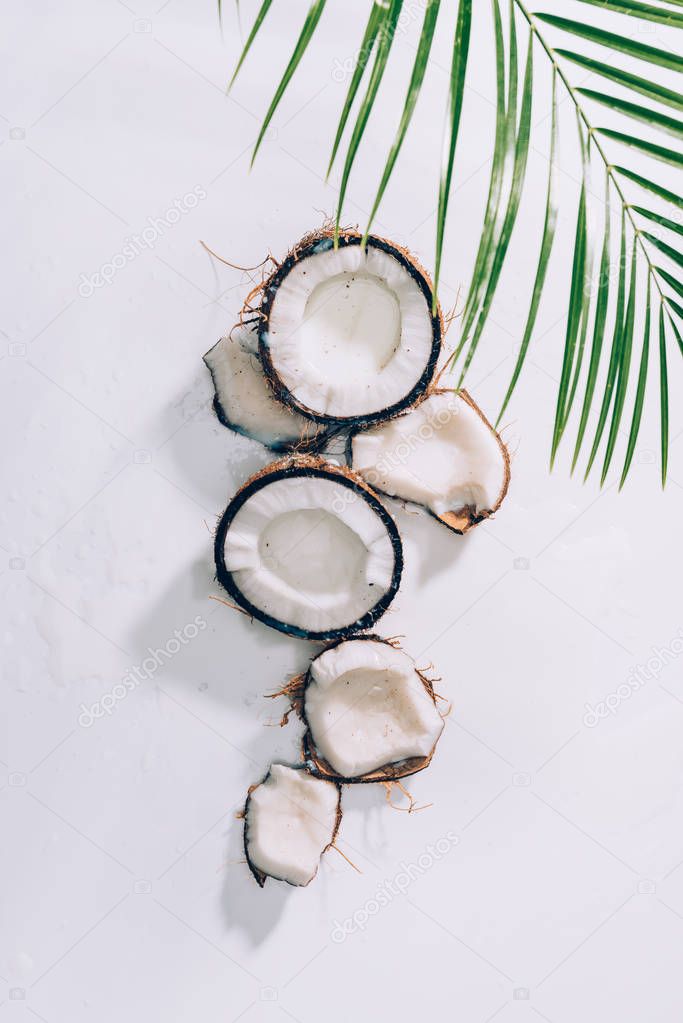 top view of pieces of natural healthy coconut and green palm leaves on white 