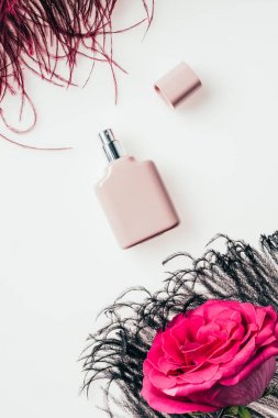 geçiş yumuşatma ve beyaz üzerine pembe Gül ile parfüm şişe, üstten görünüm