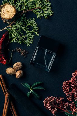 top view of bottle of perfume with aromatic spices and spruce branch on black clipart