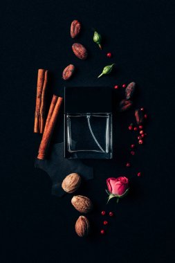 siyah Aromatik baharatlar ile çevrili parfüm şişe, üstten görünüm