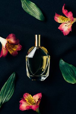 alstroemeria çiçek ve yaprakları siyah ile çevrili parfüm şişe, üstten görünüm