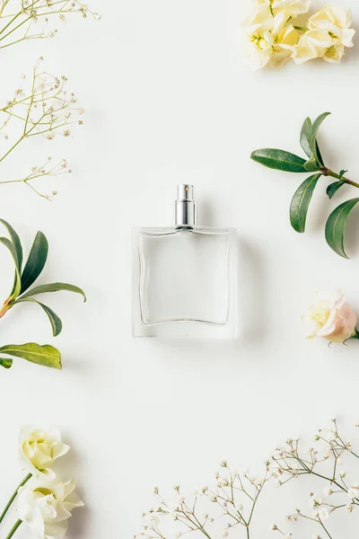 Top View Bottle Perfume Surrounded Flowers Green Branches White — Stock Photo, Image