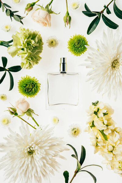 top view of glass bottle of perfume surrounded with flowers and green branches isolated on white