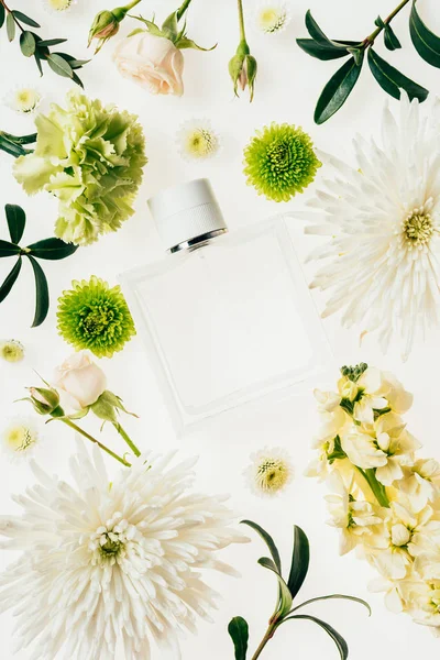 Top View Bottle Perfume Surrounded Flowers Green Branches White — Stock Photo, Image