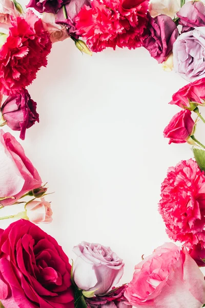 白で隔離 薔薇とつぼみの製フレームのトップ ビュー — ストック写真