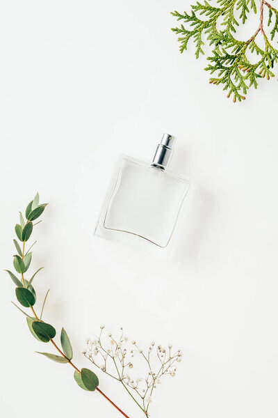 top view of bottle of perfume with green branches on white