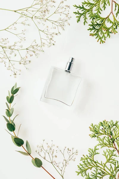 Top View Bottle Perfume Green Branches Flowers White — Stock Photo, Image