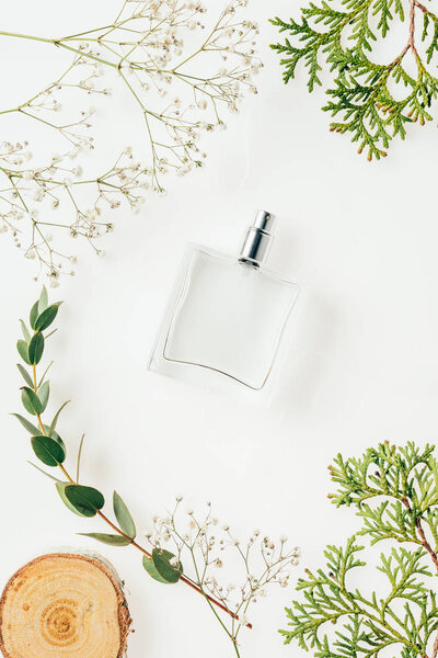 top view of bottle of perfume with green branches and flowers on white