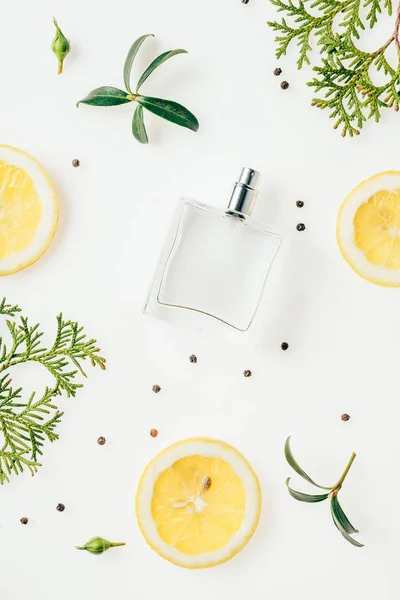 Top View Bottle Perfume Green Branches Lemon Slices White — Stock Photo, Image