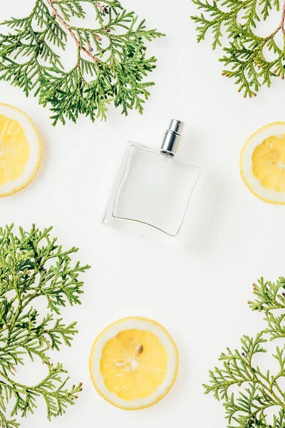 白いテーブルの上の緑の枝とレモンのスライスと香水の瓶のトップ ビュー — ストック写真