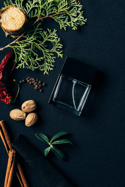 top view of bottle of perfume with aromatic spices and fir branch on black