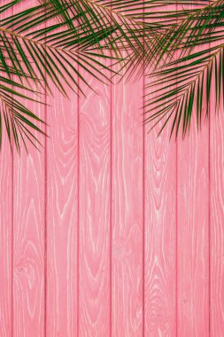pembe ahşap yüzeyde üstten görünüm palmiye yaprakları