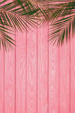 top view of palm leaves on pink wooden surface