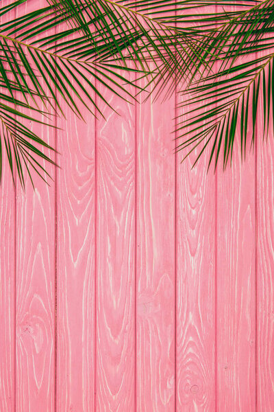 верхний вид пальмовых листьев на розовой деревянной поверхности
