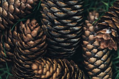 full frame image of pine cones background  clipart
