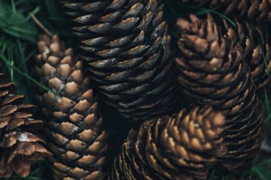 full frame image of pine cones background  clipart