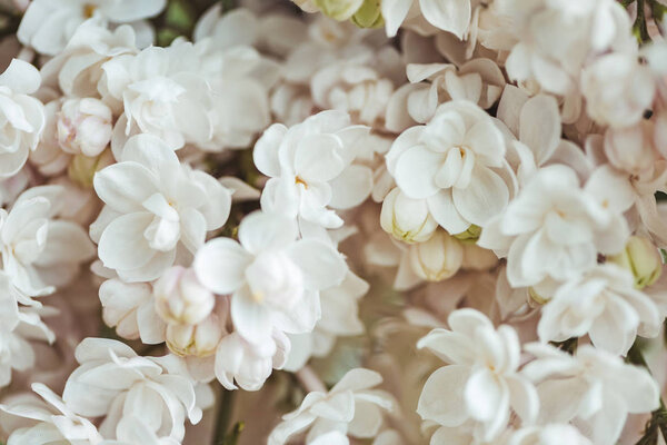 full frame image of white lilac background