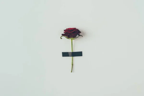 Draufsicht auf Rose mit schwarzem Isolierband isoliert auf weißem, Valentinstag-Konzept — Stockfoto