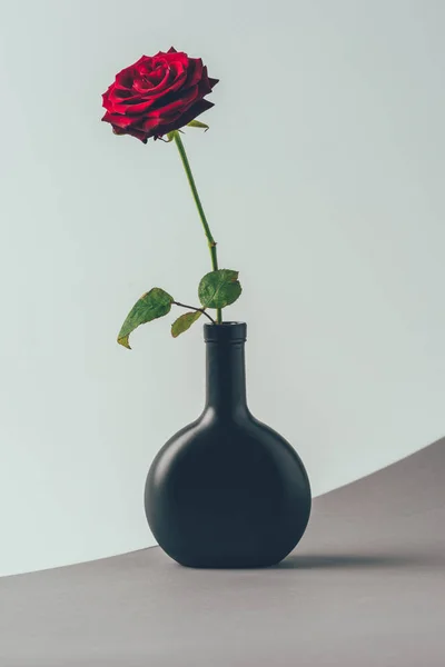 Червона троянда в чорній вазі на сірій поверхні, концепція дня валентинки — стокове фото