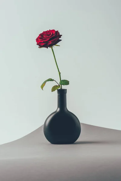 Rote Rose in schwarzer Vase auf grauer Oberfläche, Valentinstag-Konzept — Stockfoto