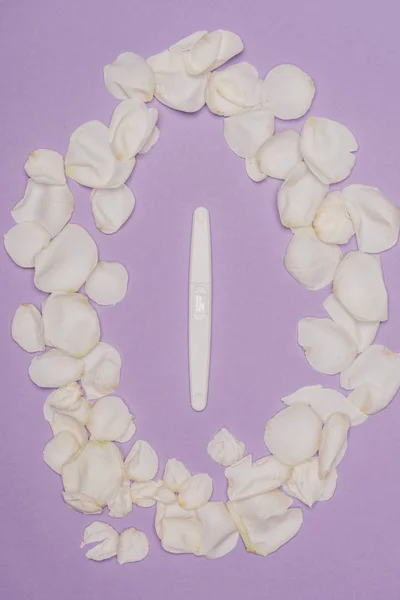 Top view of arranged petals and pregnancy test isolated on purple — Stock Photo