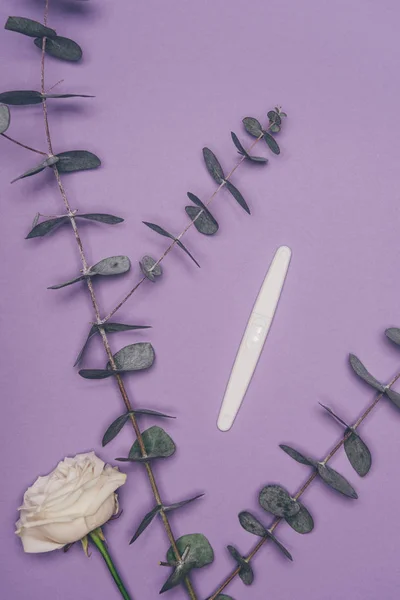 Vista superior de la prueba de embarazo arreglada, flores y hojas de eucalipto verde aisladas en púrpura - foto de stock