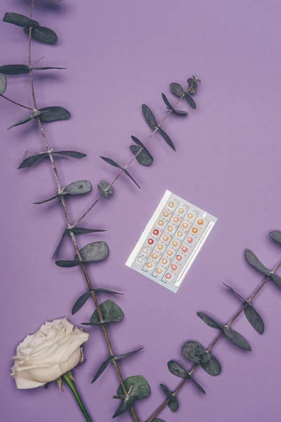 Vista superior de píldoras anticonceptivas y flor con hojas de eucalipto aisladas en púrpura - foto de stock