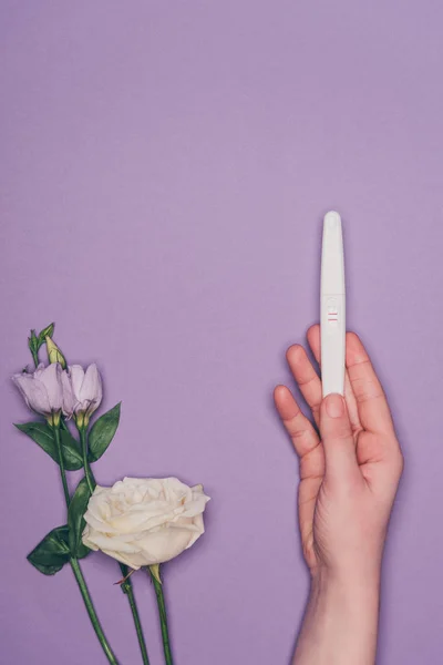 Cropped shot of woman holding pregnancy test in hand and flowers isolated on purple — Stock Photo