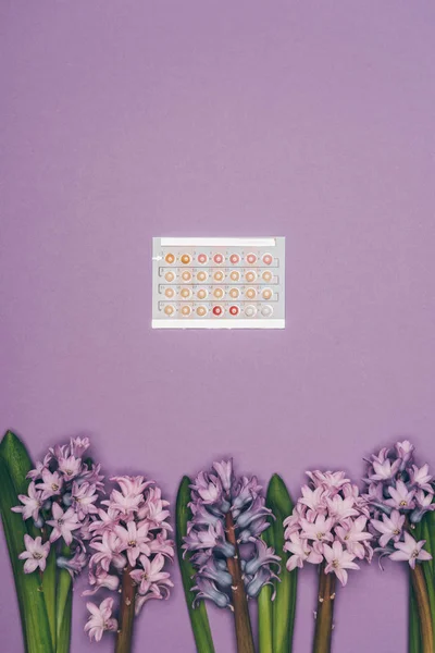 Top view of contraceptive pills and hyacinth flowers isolated on purple — Stock Photo