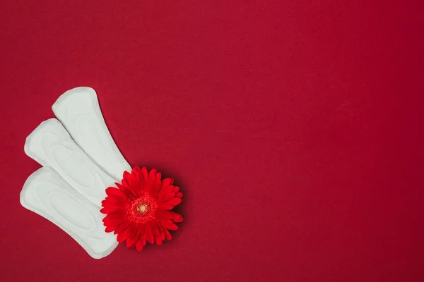 Top view of arranged menstrual pads and flower isolated on red — Stock Photo