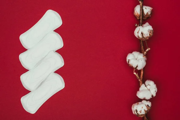 Top view of arranged menstrual pads and cotton twig isolated on red — Stock Photo