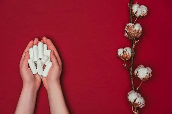 Cropped shot of woman holding tampons in hands and cotton twig near by isolated on red — Stock Photo