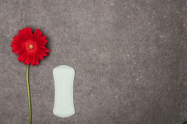 Vista superior de almohadilla menstrual arreglada y flor roja en la superficie gris - foto de stock
