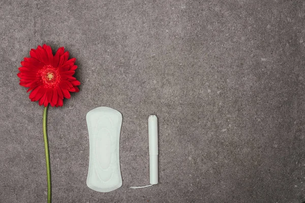 Vista superior de la disposición de flor roja, almohadilla menstrual y tampón en la superficie gris - foto de stock