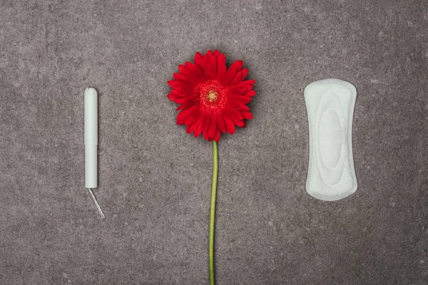 Top view of arrangement of red flower, menstrual pad and tampon on grey surface — Stock Photo
