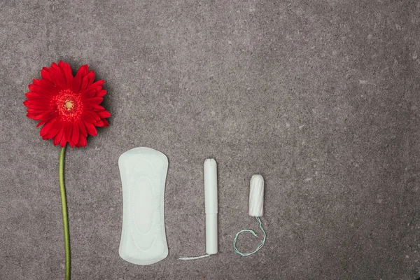 Vista superior de la disposición de la flor roja, almohadilla menstrual y tampones en la superficie gris - foto de stock